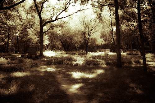 summer forest illinois oak grove august graves preserve bachelors 2014 forestview