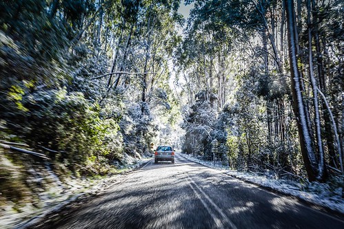 winter snow dawn australia melbourne victoria mtmacedon hesket canonhesketvictoriaaustralia