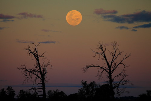 sunset moon landscapes dusk dubbo