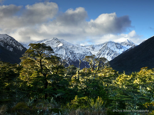 newzealand cloud mountains alps clouds forest alpine southisland westcoast chriswhite lewispass chrisnz chriswhitephotography chriswhitephotographynz