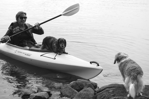 blackandwhite bw dog pet pets dogs animal boats boat kayak bonsai aspen