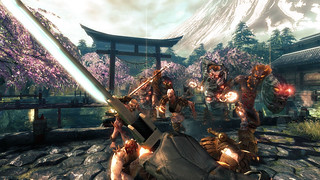 Shadow Warrior on PS4