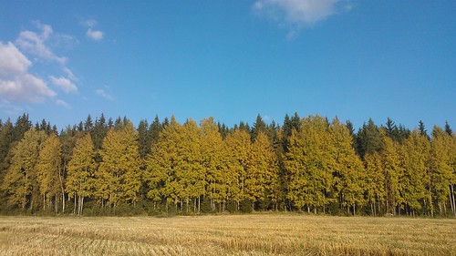 autumn suomi finland syksy lempäälä