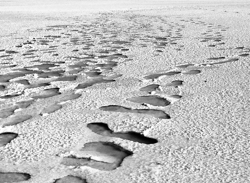blackandwhite white lake black contrast turkey mess türkiye salt footprints saltlake such touristic tuzgölü tuz gölü