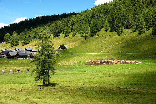 summer landscape austria minolta hiking sony eggeralm sony16105 minoltasonyclub sonya580