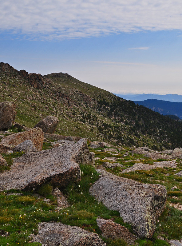 Along the Road to Mt. Evans (2)