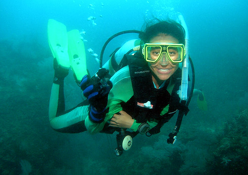 <img src="padi-diving-course-tioman-island-malaysia.jpg" alt="PADI diving course,Tioman Island, Malaysia" />