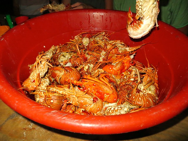 bucket o' lobster
