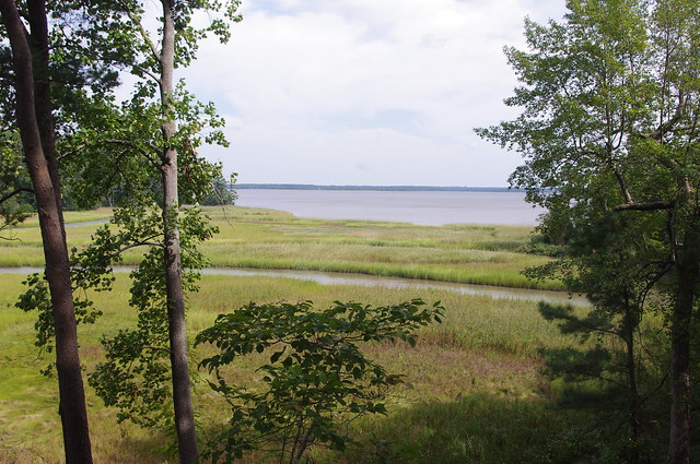  York River State Park shelter #1 offers a great view of Taskinas Creek and the York River 