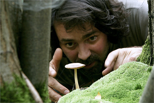 Good Mushrooms Project. IMG140905_026_©_S.D-S.I.P_FR_JPG Compression.