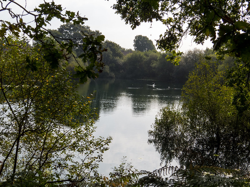 View across Creekmoor Ponds
