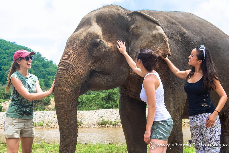 elephant volunteering thailand