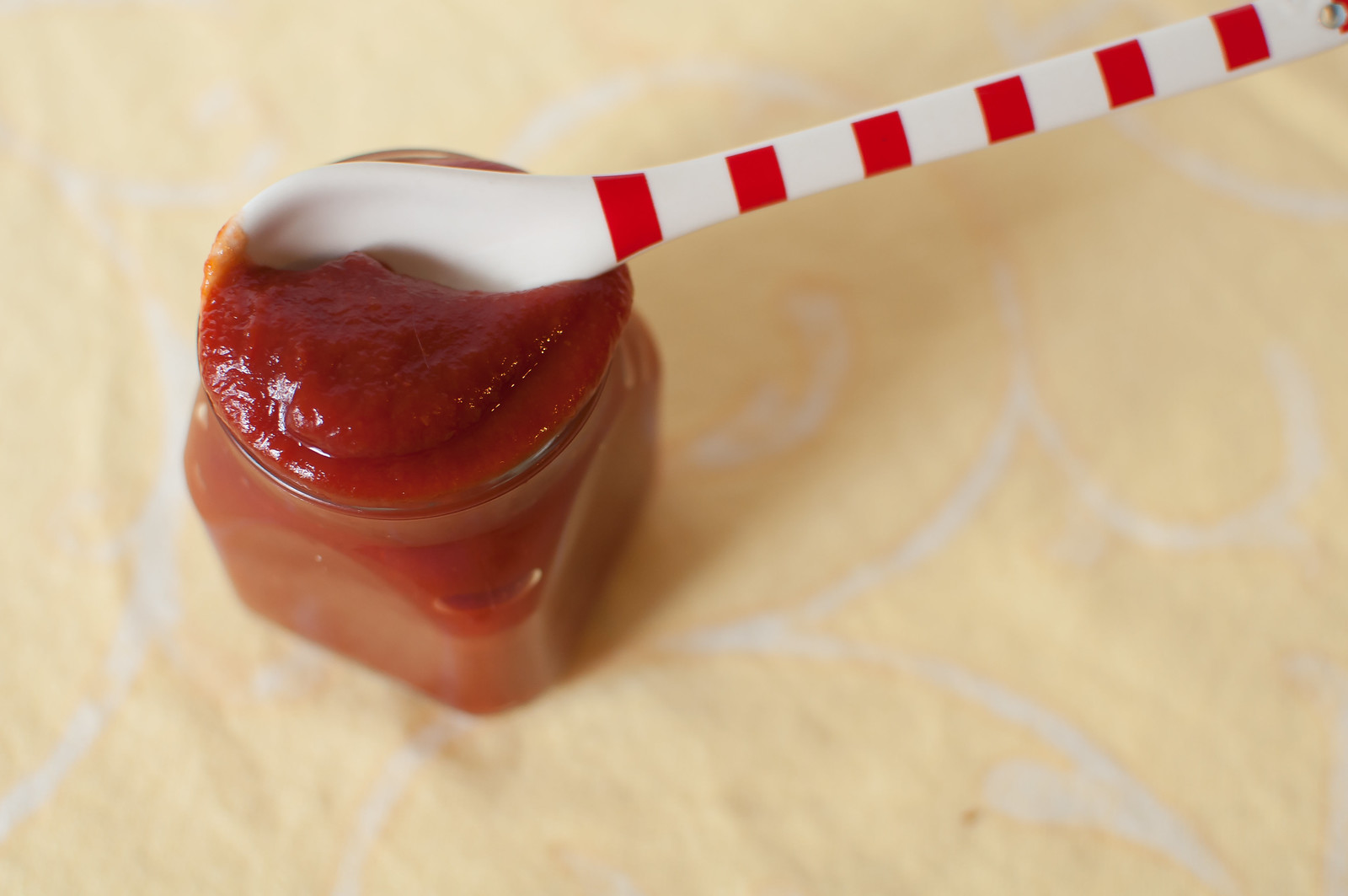 Homemade Ketchup 5
