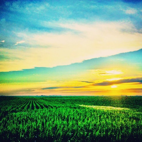 square sierra squareformat cropdusting iphoneography instagramapp aglife
