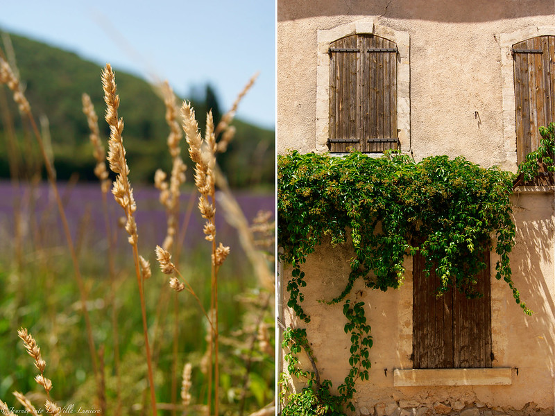 La Provence, France