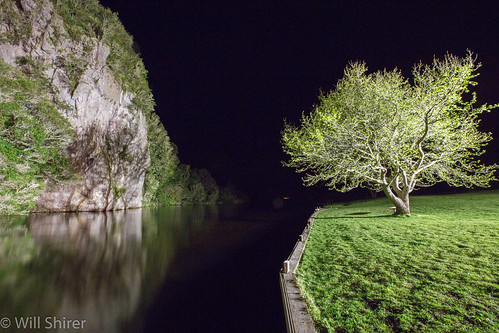 laketaupo newzealand kuratau river tree night water cliff grass shadow