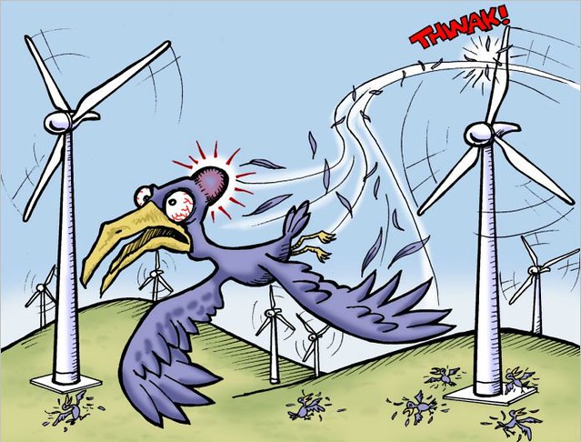 turbinas de viento aves diarioecologia.jpg