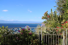 garden with sea view