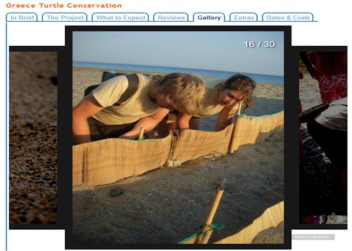 志工架起防護網幫助小海龜回到大海，圖片來源：Frontier官網