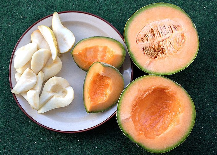 125 Samen Melone Charentais Warzen- Sorte Traditionelle Französisch 