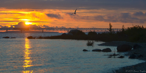 sky sun reflection bird water clouds mi sunrise unitedstates michigan lakemichigan strait mackinac mackinaw mackinawbridge mackinawcity