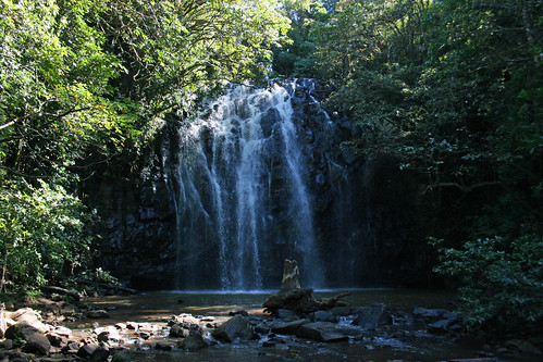 waterfall australia waterfalls queensland waterway freshwater tropicalnorthqueensland athertontablelands farnorthqueensland ellinjaafalls palmerstonhighway