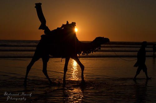 pakistan sunset sea sun reflection beach water sunshine hope seaside nikon waves ride rope camel clifton sindh seaview dha