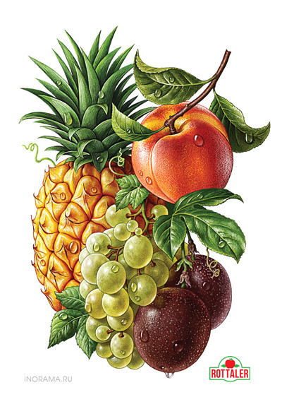 Vẽ trái cây như thật bởi họa sỹ Inorama - Hãy đam mê nếu có thể