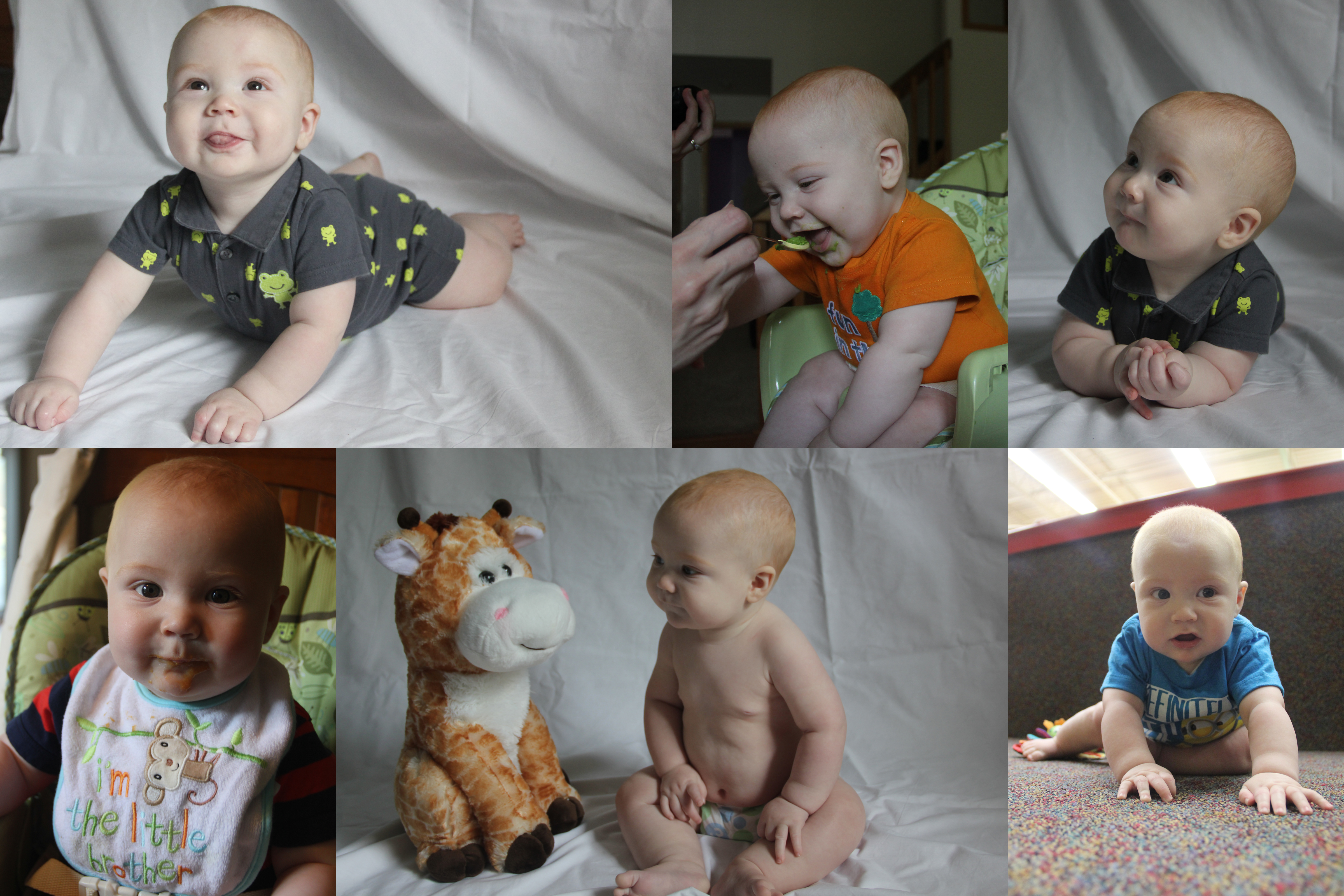 Ryder-7month-collage