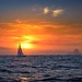 Ibiza - Sailing to Ibiza