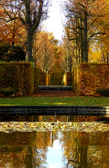 Reflected Autumn / Gespiegelter Herbst