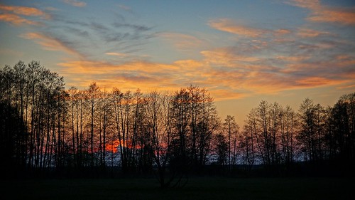 polska poland przyroda nature natura pejzaż landscape drzewo tree chmury cloud beautifulearth wiosna spring sony a77