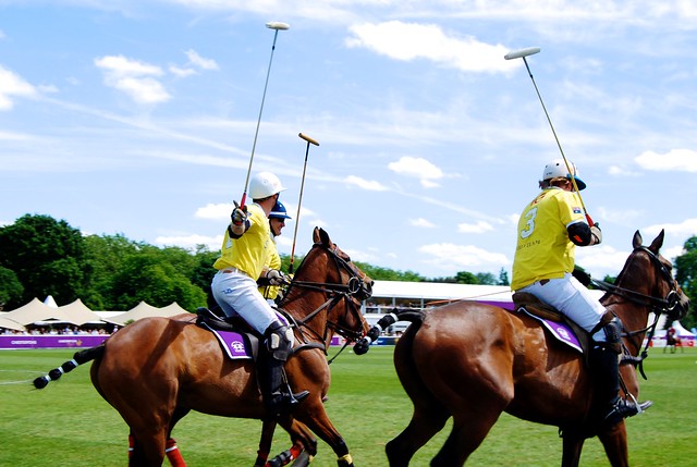 Polo In The Park