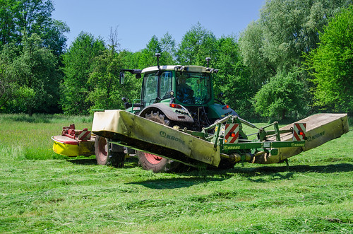 traktor moor spreewald mäher niedermoor mahd grünland schwad scheibenmäher bewirtschaftet grünlandmahd mähkombination