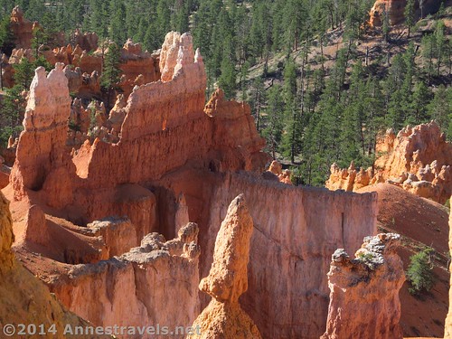 Along the Queens Garden Trail, Bryce Canyon National Park, Utah