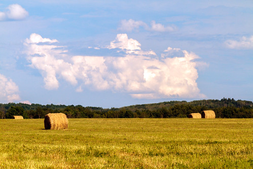 cloud field day peace country harvest hills thunderstorm hay bale saddle pwpartlycloudy