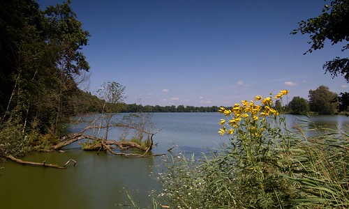 pond rybník southernbohemia jižníčechy třeboňsko čr starýhospodář