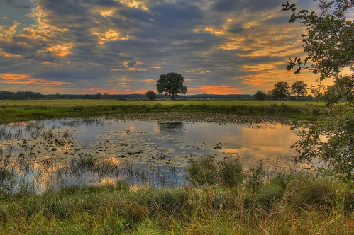 sunset lake landscape see swan sonnenuntergang natur wolken swans landschaft schwan spiegelung hdr schwäne wendland lüchowdannenberg predöhlsau maikrichter