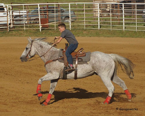 boy horse male sport race cowboy all child sony barrel sigma august jr rope rodeo cans welch roping 2014 50500mm barrelracing views50 f4563 slta77v