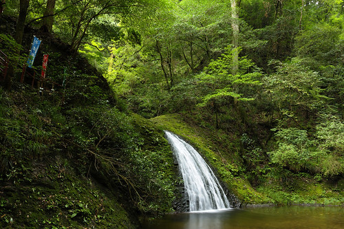 green water forest waterfall nikon 愛知 aichi 緑 滝 森 shinshiro 新城 atera d3s 阿寺 afszoomnikkor2470mmf28ged 阿寺の七滝 ateranonanataki