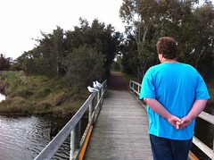 Big Swamp Walk: Mike Approaches The Gulls