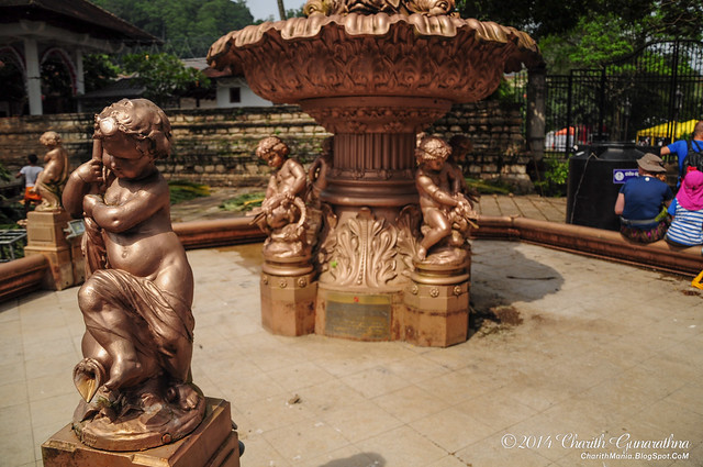 Prince of Wales - Coffee Planters Fountain Kandy