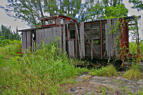 railroad red museum wooden weeds florida miami caboose cupola derelict kudzu rotted miamidadecounty goldcoastrailroadmuseum 12450sw152ndstreet
