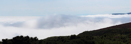 sea cloud mist fog poem condensation moray stratus meteorology firth caithness haar