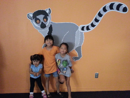 "Island of Lemurs" movie at the museum.