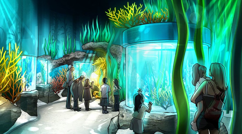 Orlando Sea Life Aquarium