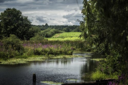 rain pond day newhampshire orchard londonderry fishinghole macksapples londonderrynewhampshire