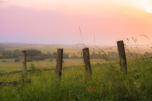sunset france fence landscape countryside lowlight europe burgundy eu paysage bourgogne côtedor saintesabine