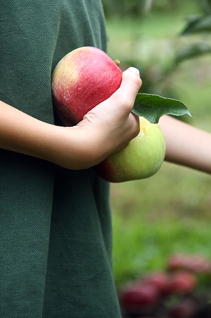 Nat-holding-apples