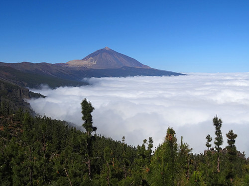 cloud mountain forest landscape volcano spain tenerife teide